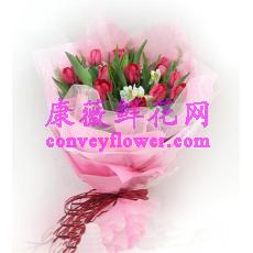 郁金香