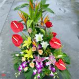 花篮:高档祝寿鲜花：康乃馨，百合，泰国兰等，直径1.2米