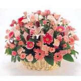 鲜花:19枝香摈玫瑰，卷边纸圆型包装。