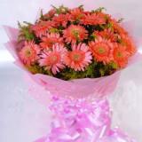 鲜花:22朵粉色太阳花配米兰，粉色绵纸圆形包装，粉色丝带打结