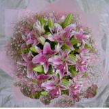 鲜花:淡粉色康乃馨100枝，满天星及绿叶搭配，卷边纸高档包装（此花需提前预定）