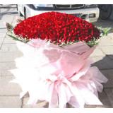 鲜花:99支红色康乃馨_满天星_红色包装