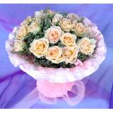 金隅丽景园鲜花店鲜花:19枝香摈玫瑰，卷边纸圆型包装。