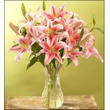 东湖别墅鲜花店鲜花:粉色香水百合（多头）8枝，采用玻璃花瓶