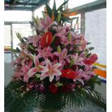 鲜花:大量白合花，红掌，玫瑰，吉祥鸟间插，泰国兰外围间插，高档手提花篮插花四面观，高度80CM左右，宽60CM左右