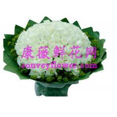 99朵白玫瑰