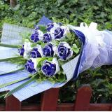 蓝玫瑰:19朵A级红玫瑰，满天星丰满外围，高档粉色卷边纸高档圆形包装，配浅紫色蝴蝶结。