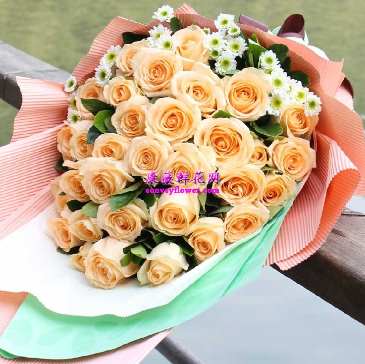 北京海淀送花 北京海淀送花